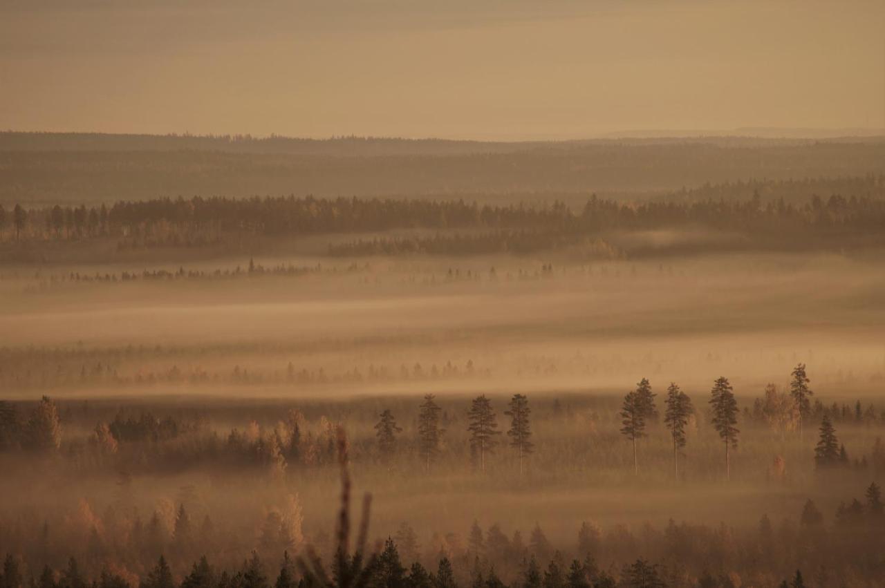 Bear Manor B&B Kannonkoski Eksteriør bilde