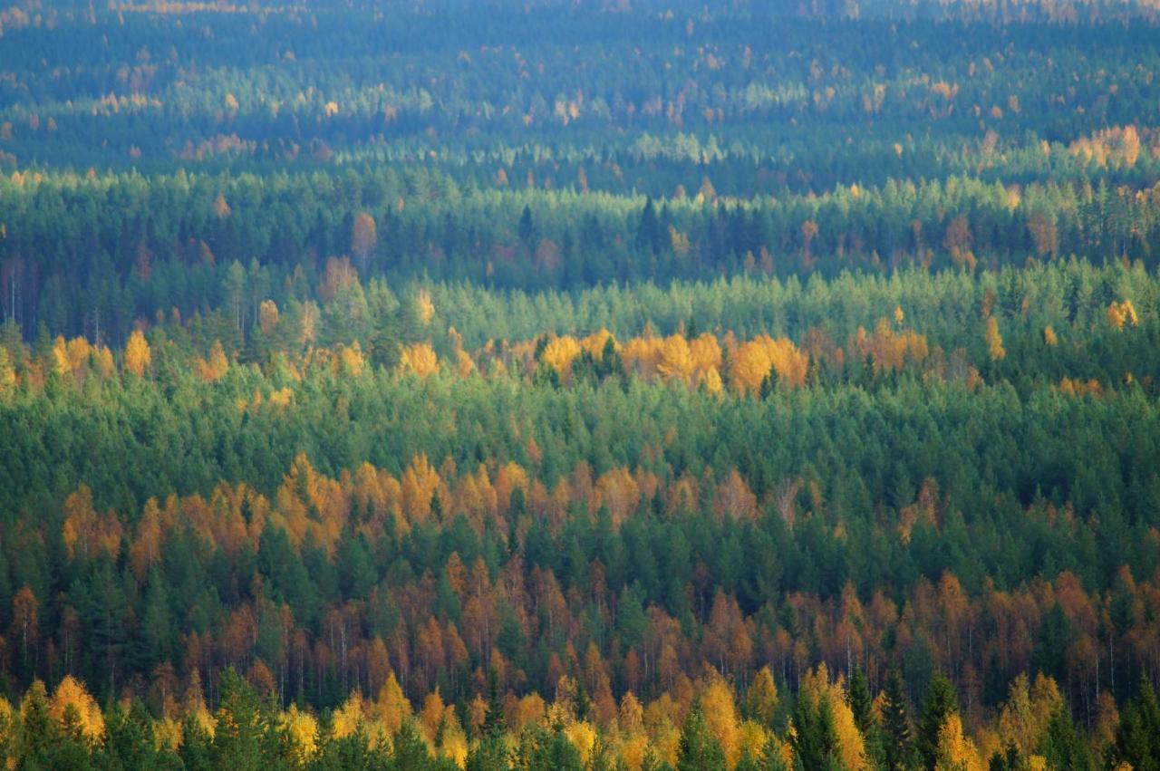 Bear Manor B&B Kannonkoski Eksteriør bilde